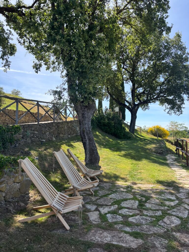 Podere l'Aione - Giardino con lettini