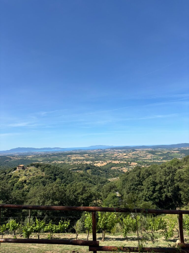 Podere l'Aione - Panorama Maremma e mare